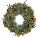 National Tree Company Pre-Lit Artificial Christmas Wreath, Green, Colonial Fir, White Lights, Dec... | Amazon (US)