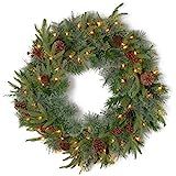 National Tree Company Pre-Lit Artificial Christmas Wreath, Green, Colonial Fir, White Lights, Dec... | Amazon (US)