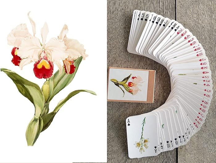 Beautiful Flowers Playing Cards (Poker Deck 54 Cards All Different) Vintage Flowers Botannical Il... | Amazon (US)