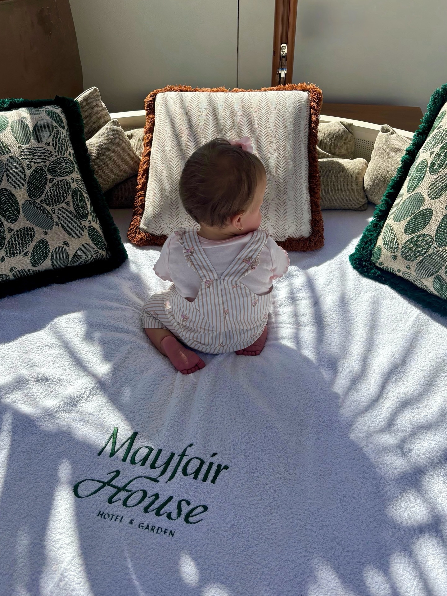 Paloma requested a change of scenery 🌴🫧