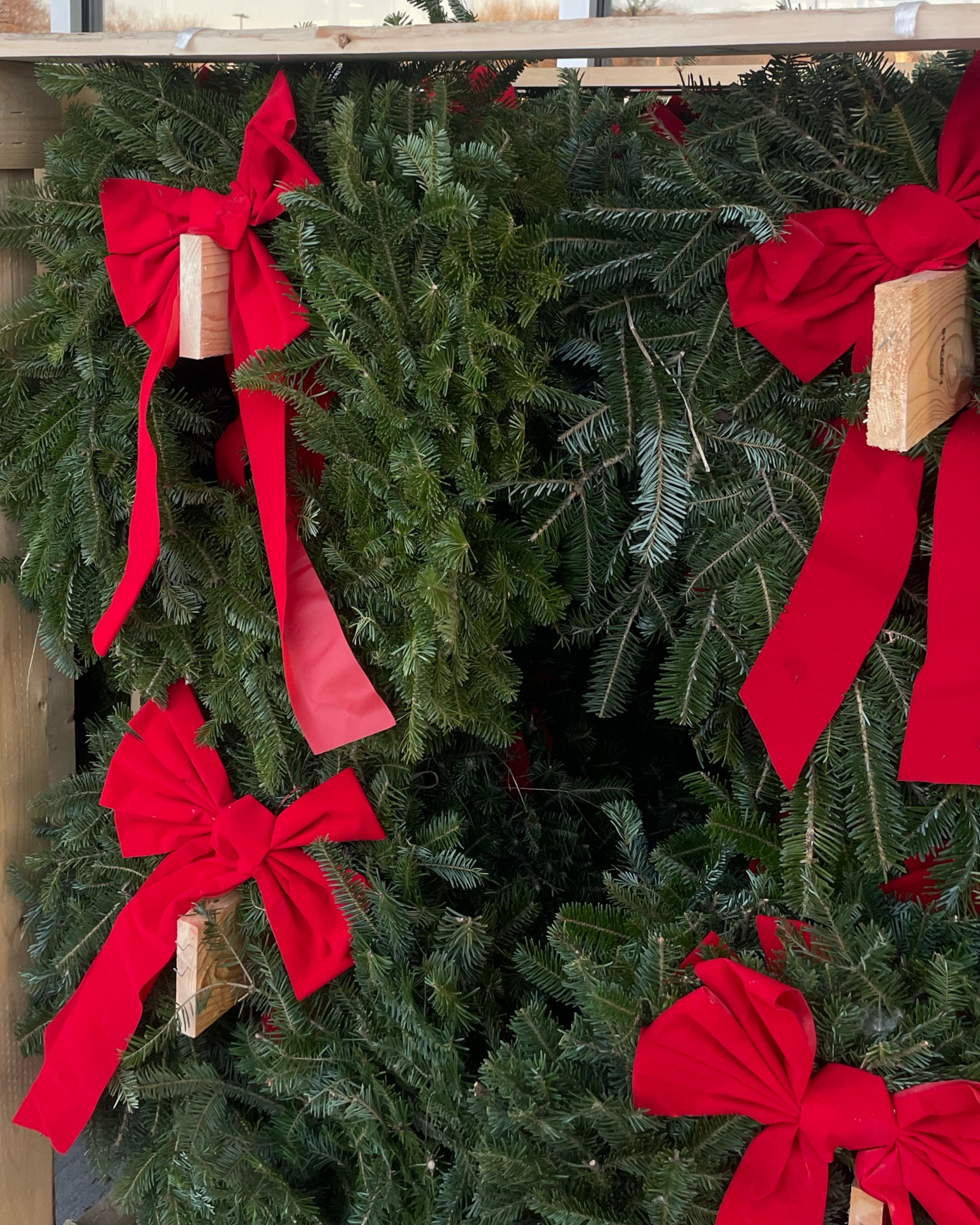 Favorite Holiday Wreaths 

#LTKHoliday #LTKGiftGuide #LTKFindsUnder100