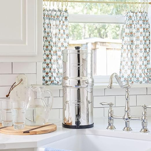 Travel Berkey Gravity-Fed Water Filter with 2 Black Berkey Elements–Enjoy Potable Water While C... | Amazon (US)