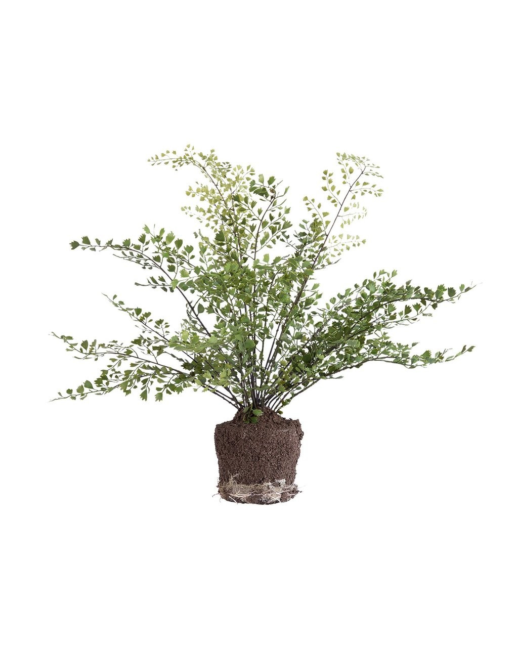 Faux Maiden Hair Drop-In | McGee & Co.