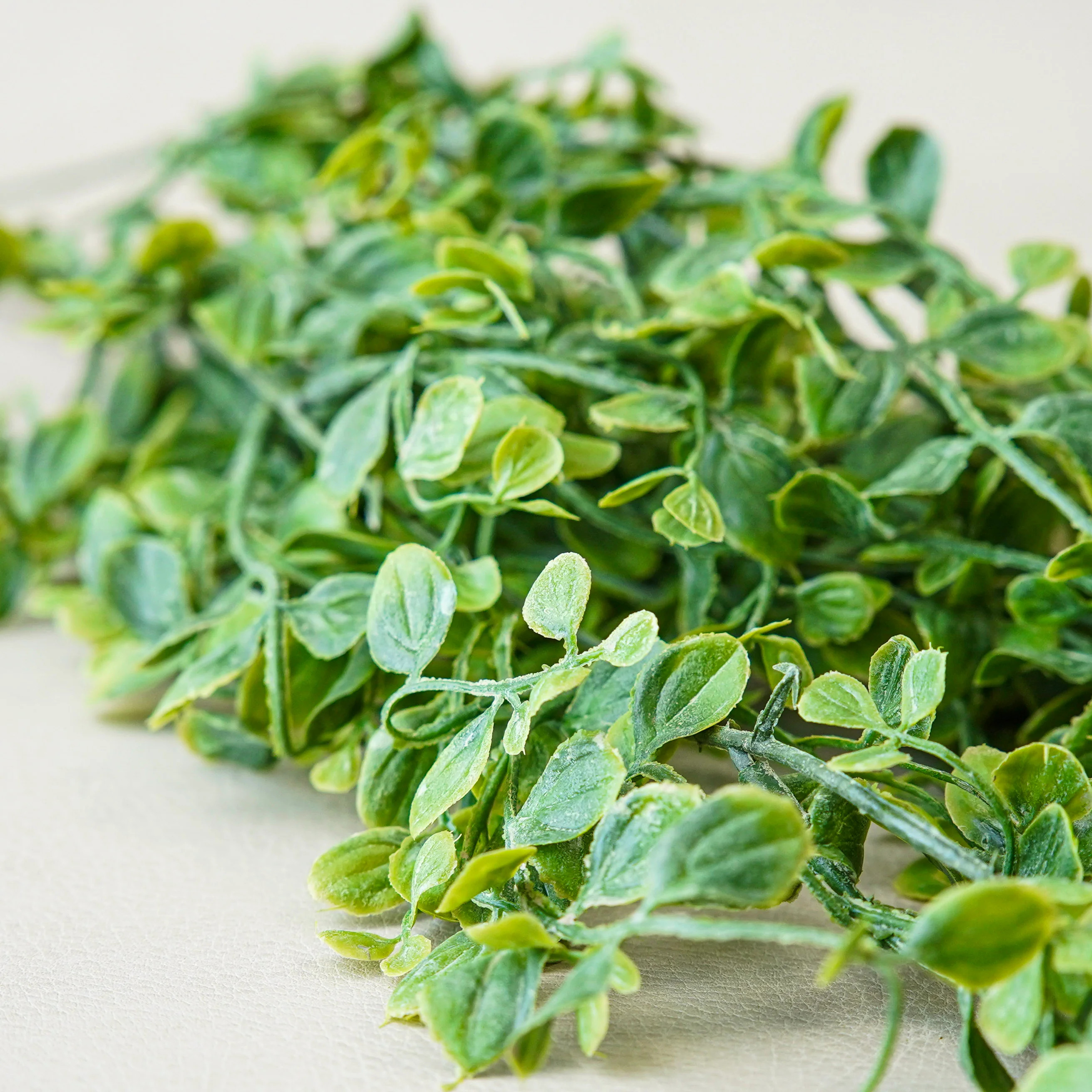 Whisperleaf Hanging Bush | MJHome