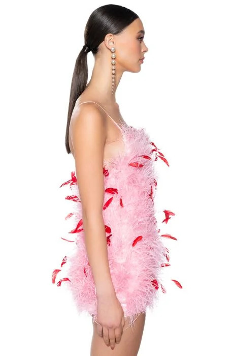 TWO BIRDS AND A FEATHER MINI DRESS | AKIRA