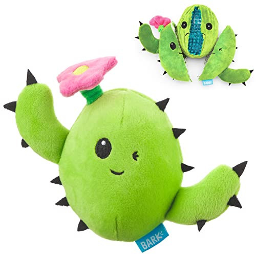 Barkbox 2 in 1 Interactive Plush Dog Toy - Rip and Reveal Toy for Dogs and Puppies - Stimulating Squeaky Pet Toys | Consuela Cactus (Small) | Amazon (US)