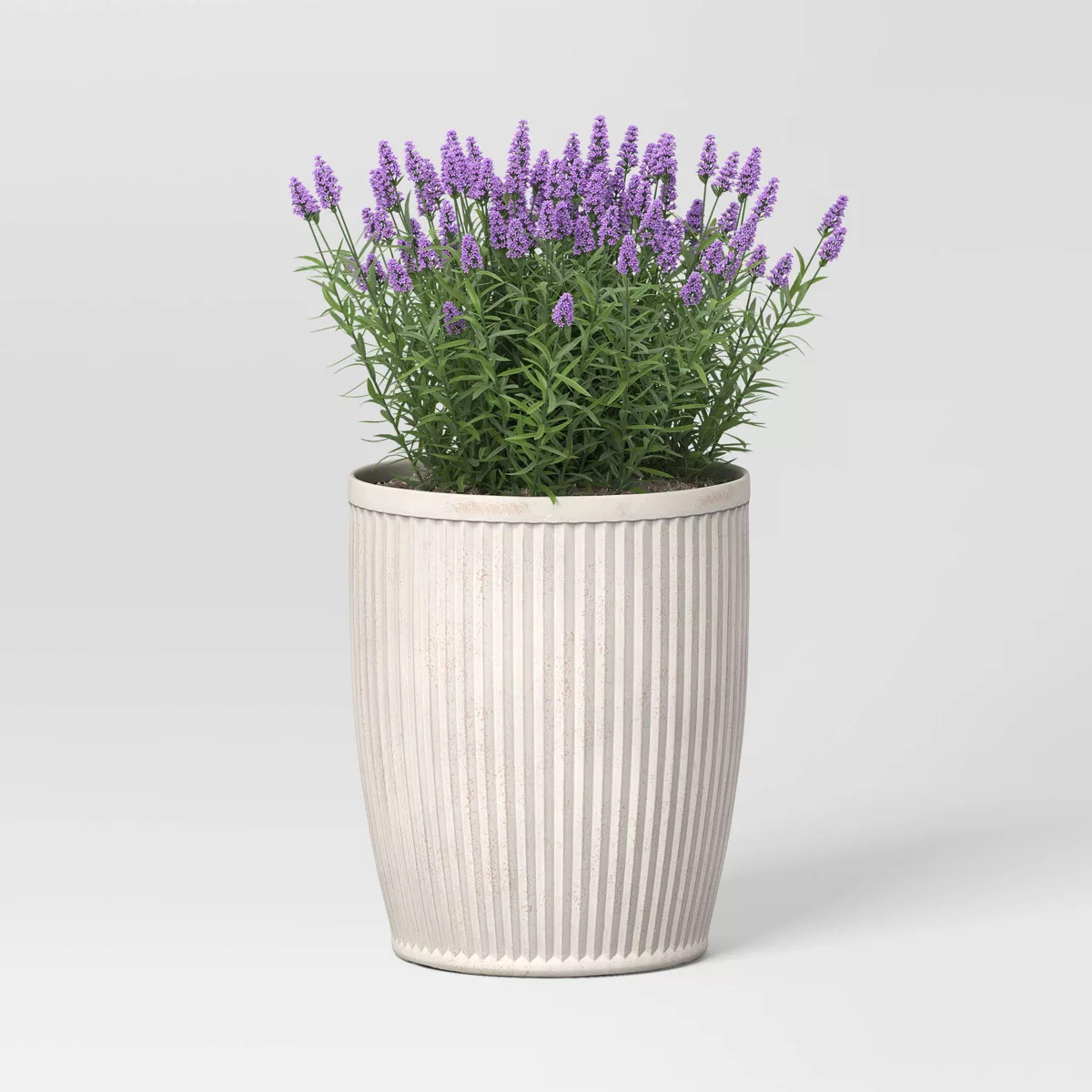 Weathered Ribbed Composite Indoor Outdoor Planter Pot 12"x12"x14.3" Off-White - Threshold™ desi... | Target