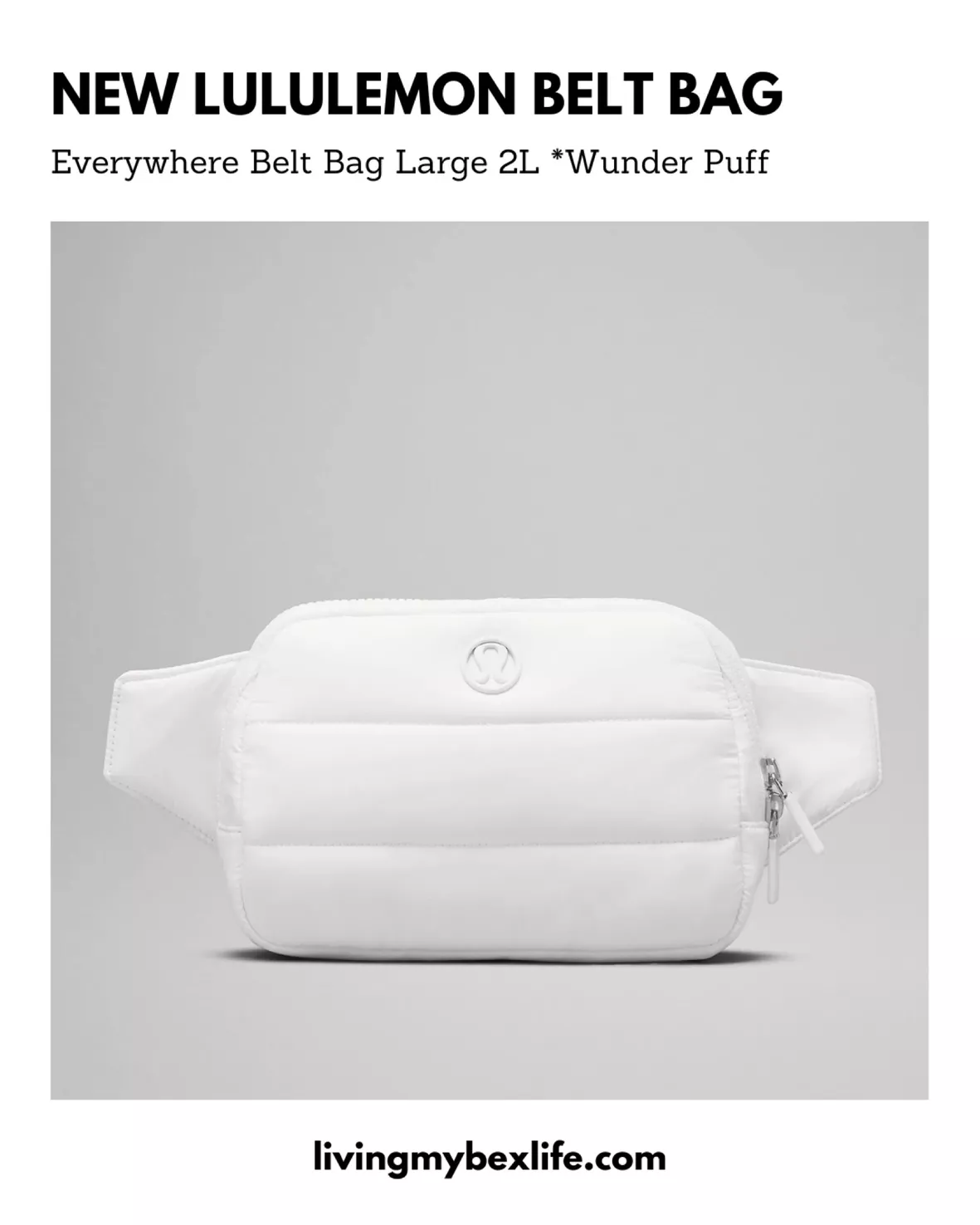 Everywhere Belt Bag Large 2L *Wunder Puff