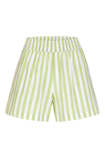 Livro Pool Shorts, Lime Stripes | Monkee's of Mount Pleasant