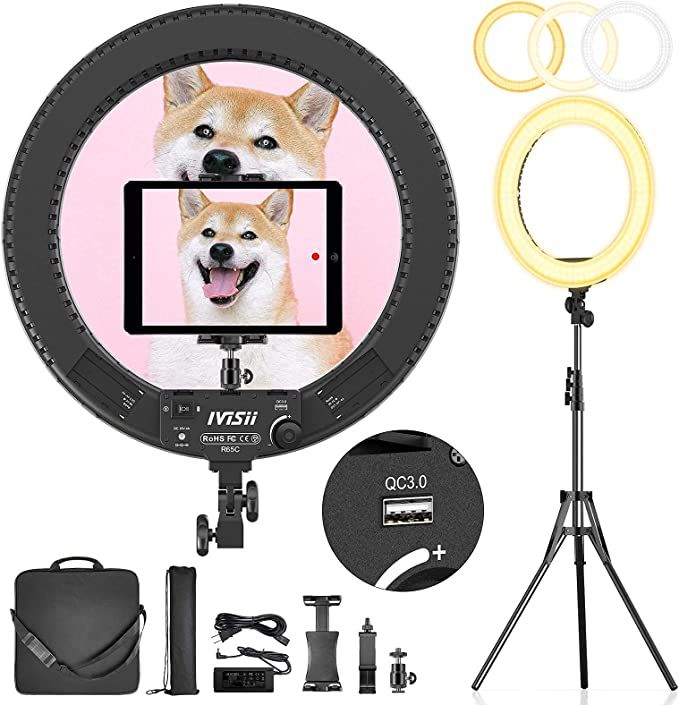 IVISII 18 inch Ring Light with Stand and Phone Holder & Ball Head, 60W Bi-Color 3000-5800K, Profe... | Amazon (US)