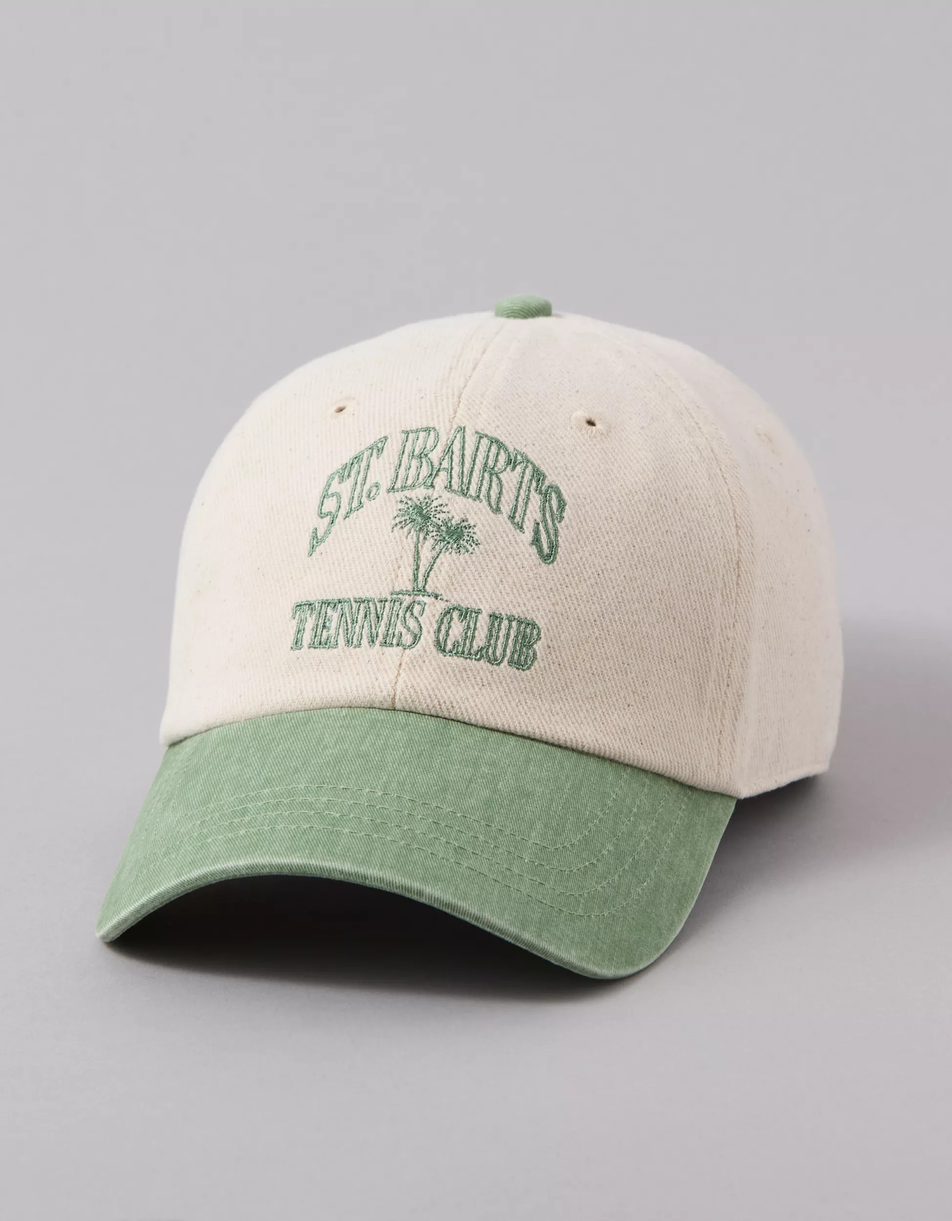 AE Destination Baseball Hat | American Eagle Outfitters (US & CA)