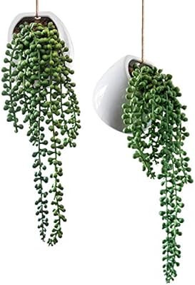 Royal Imports Artificial Senecio Plant, String of Pearls Decorative Ceramic Wall-Hanging Planters... | Amazon (US)