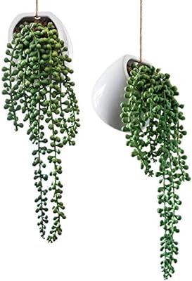 Royal Imports Artificial Senecio Plant, String of Pearls Decorative Ceramic Wall-Hanging Planters... | Amazon (US)
