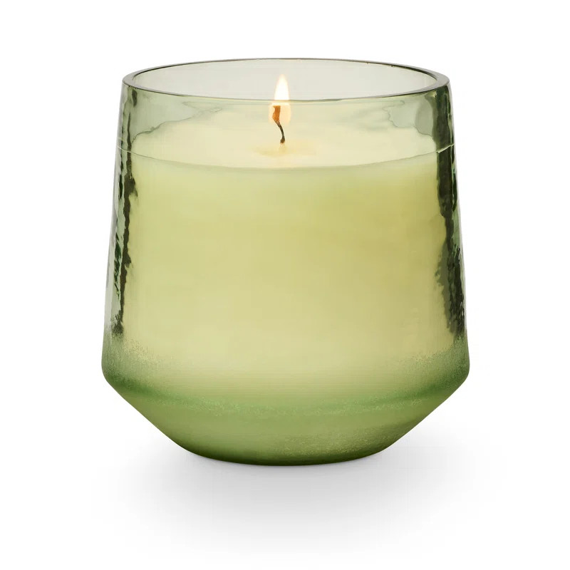 ILLUME Beautifully Done Hinoki Sage Soy Candle | Wayfair North America