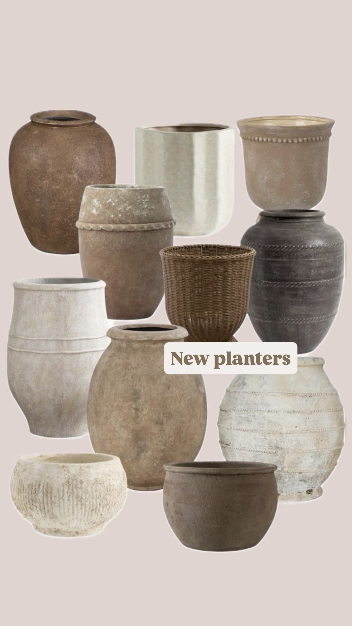 New in this season
Planters
Pottery barn
Terracotta planters 

#LTKSpringSale #LTKHome