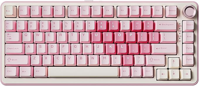 YUNZII B75 PRO Wireless Mechanical Keyboard,75% Layout with Knob,Hot Swap Gasket Custom Structure... | Amazon (US)
