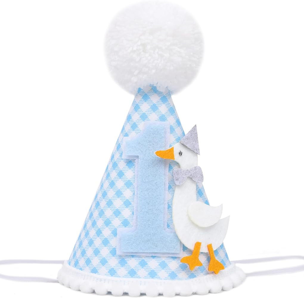One Silly Goose Birthday Hat - Silly Goose 1st Birthday Decorations, Pink Gingham 1st Birthday Pa... | Amazon (US)