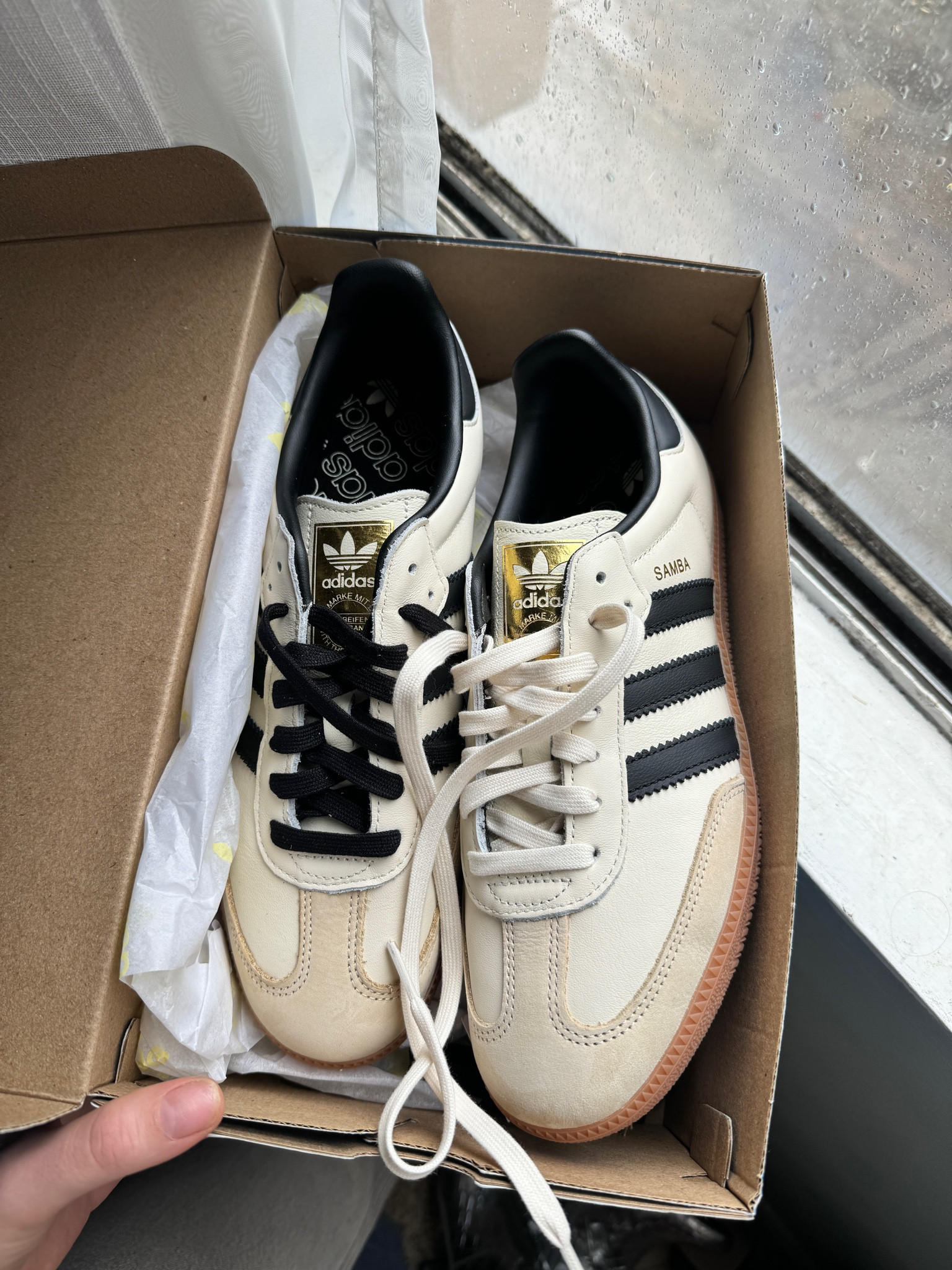 Snagged a pair of the adidas sambas, FINALLY! Now, to choose which color laces to use! If you can’t find this sneaker, I’ve linked a a great alternative! 

#adidassamba #adidas #sneakers 

#LTKfindsunder100 #LTKsalealert #LTKshoecrush