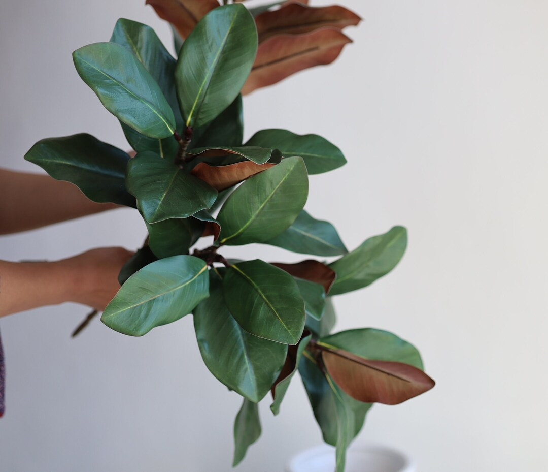 Faux Natural Touch Magnolia Leaf Branch- Green, High Quality Artificial Plant, DIY Office/Wedding... | Etsy (US)