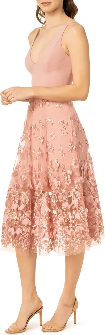 Darleen V-Neck Embroidered Mesh Cocktail Dress | Nordstrom