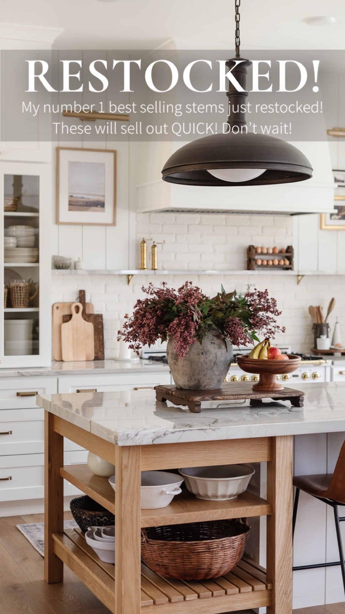 My number 1 selling stems are back in stock! These WILL sell out! Don’t wait!! I have 6 here, but this vase is huge. 3 would be plenty for most vases. 

Stems, spring, house of jade, vase 

#LTKMostLoved #LTKHome #LTKFindsUnder100