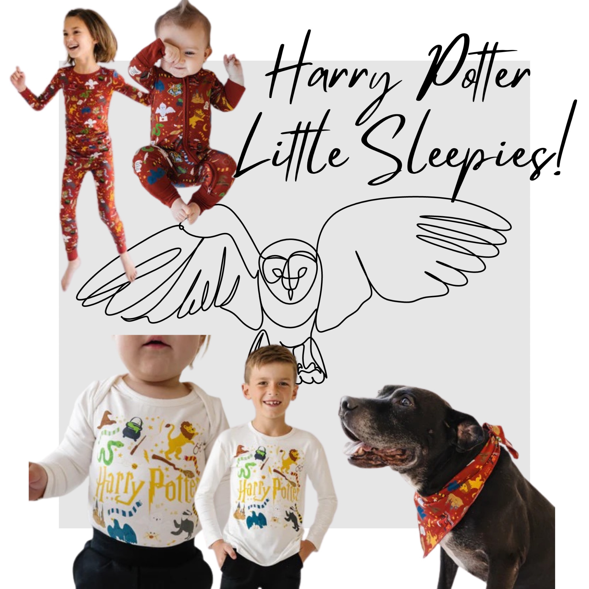Harry Potter Limited Addition Little Sleepies!!! Our favorite ever! Can buy matching Jammie’s for the whole family! 

#LTKGiftGuide #LTKFind #LTKfamily