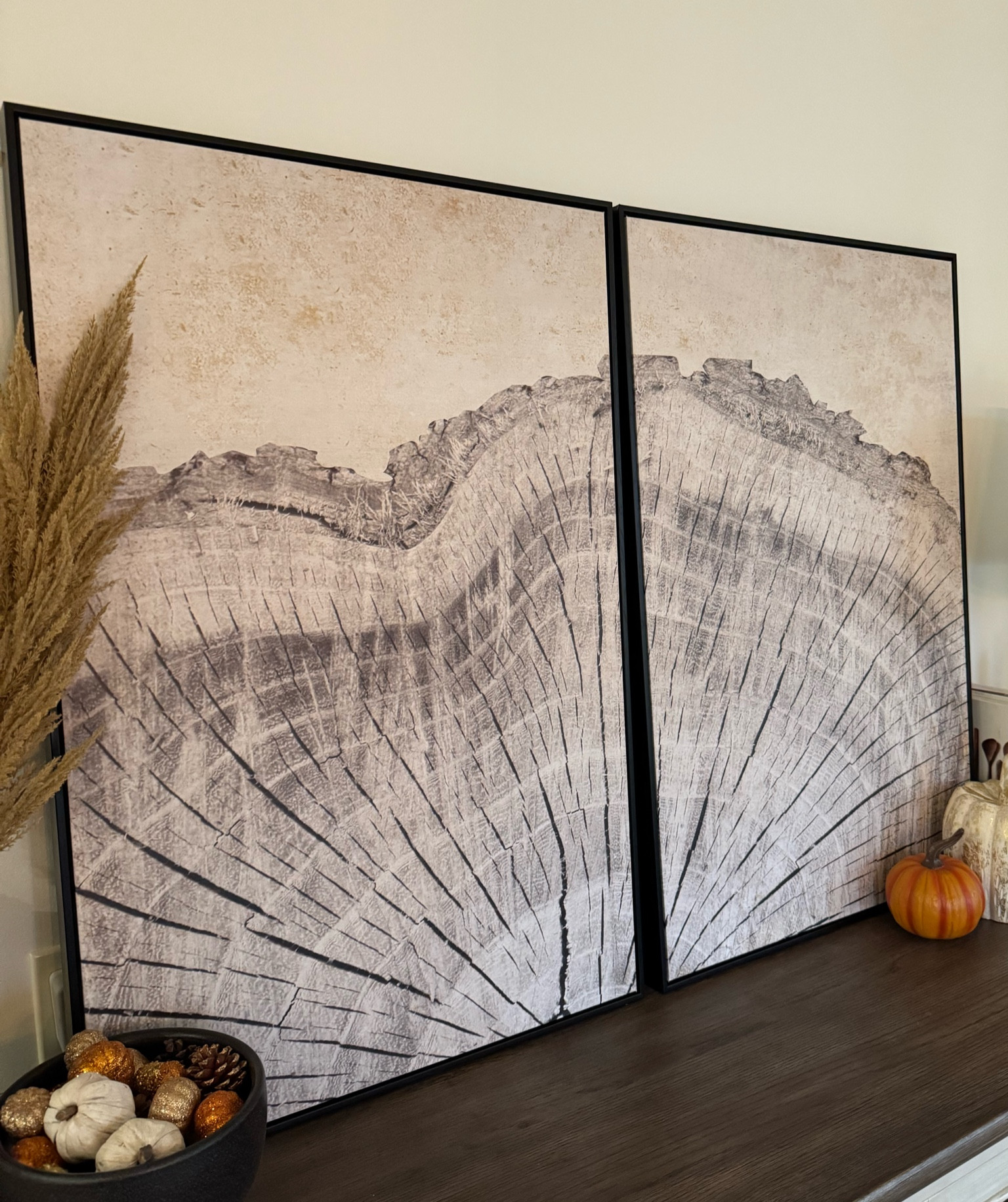 Wall art! Set of two wood framed canvas prints. Oak tree rings. Neutral wall art, natural wall art. Comes in a set of two or three. #wallart #canvaswallart #homedecor #walldecor #artwork 

#LTKSaleAlert #LTKHome #LTKFindsUnder100