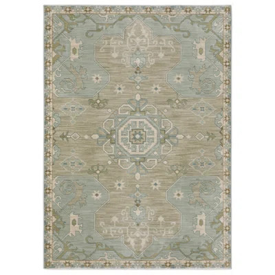Graicyn Bohemian Old World Inspired Grey/ Blue Area Rug | Wayfair North America