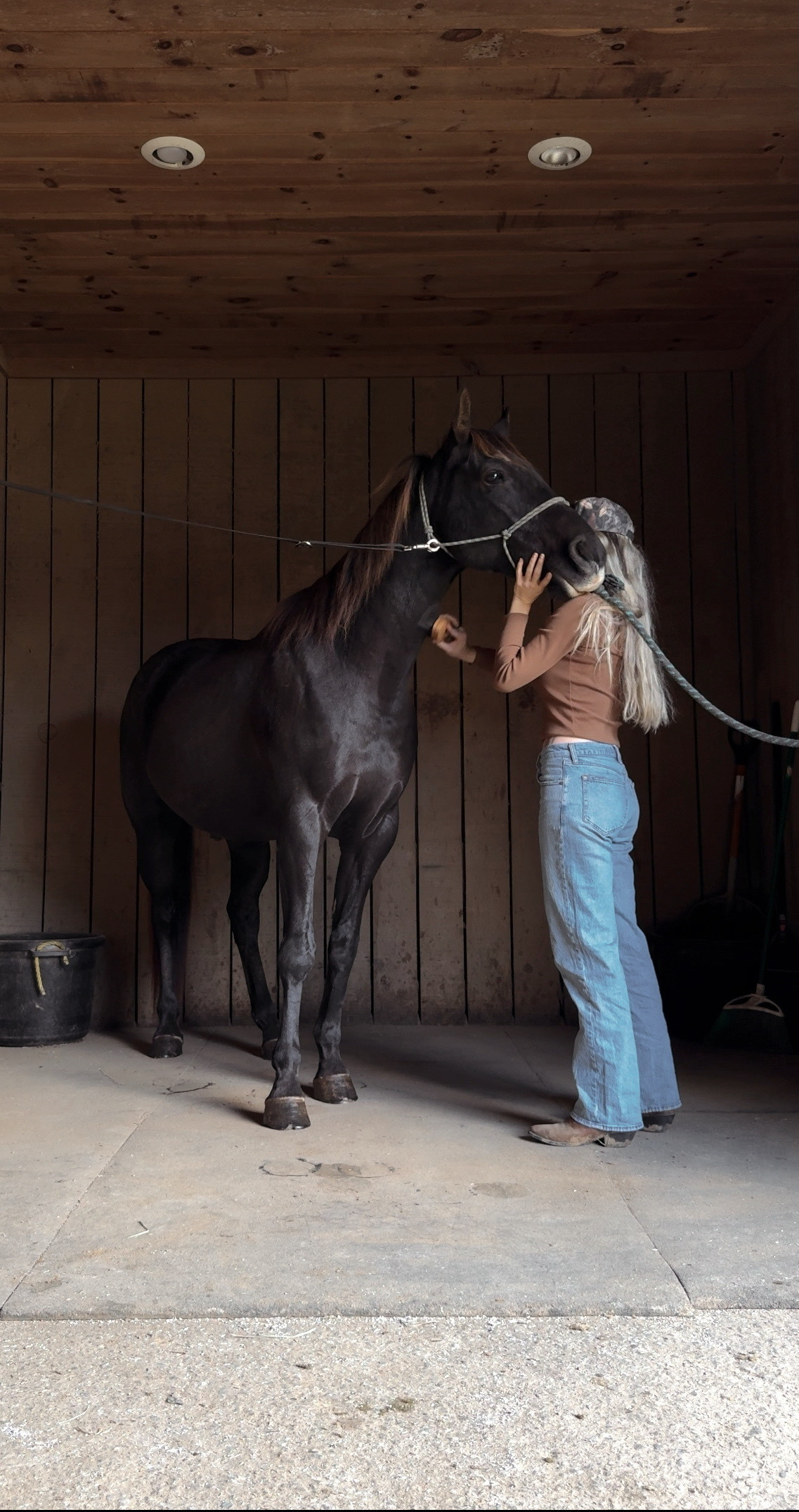 rounding up all of my Abercrombie favorites for the sale right now! i wear long in most of the jeans. use code DENIMAF for an additional 15% off 👏🏻
 

#LTKSeasonal #LTKSaleAlert #LTKootd