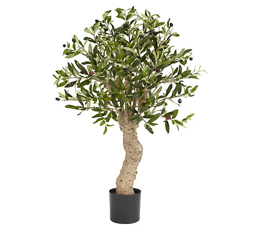 2.5' Olive Tree with 690 Leaves by Nearly Natural - QVC.com | QVC