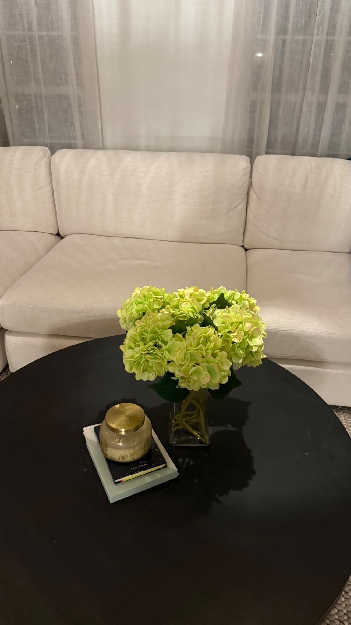 Dried hydrangeas are my current obsession!!!

#LTKSeasonal #LTKU #LTKHome