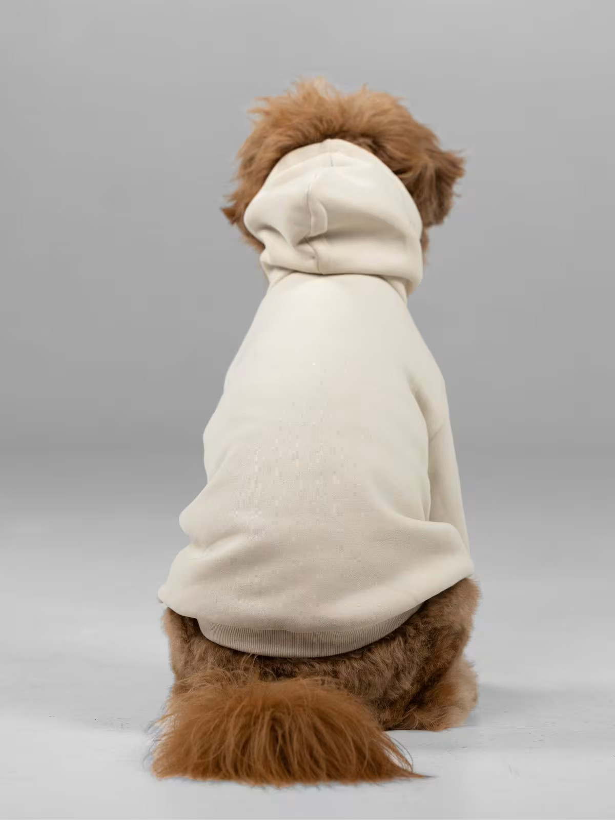 Signature Paw Hoodie — Comfrt | Comfrt