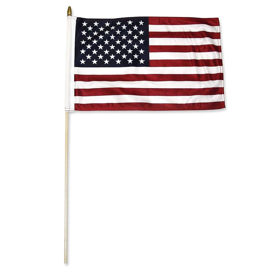 USA Stick Flags - One dozen stick flags - 12" x 18" | Amazon (US)