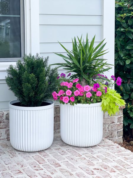 Looking for a quick idea to kickstart your home decor for summer? Try using some faux greenery or florals to add new life to your spaces! Loving this faux evergreen than blends in seamlessly with our live plants on our front porch. Linking a few other faux greenery favorites I’m loving right now too. 

#LTKhome #LTKsalealert #LTKSeasonal