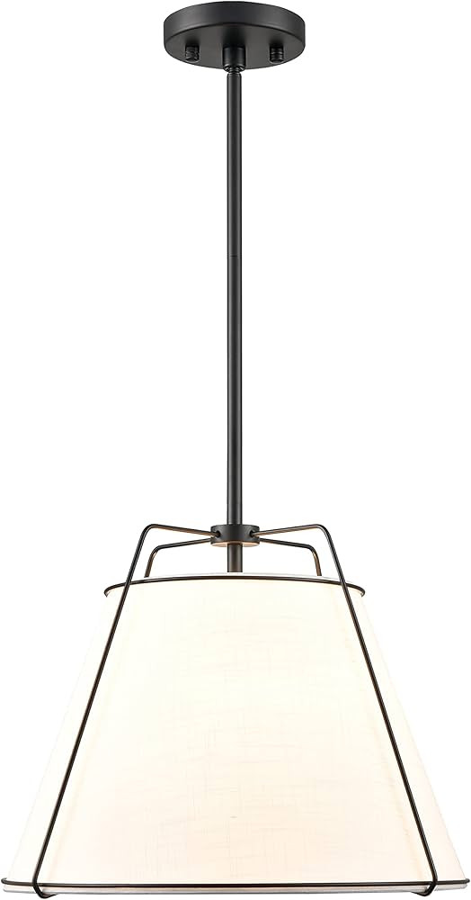 Light Society LS-C554-BLK Lise Chandelier, Black/White | Amazon (US)