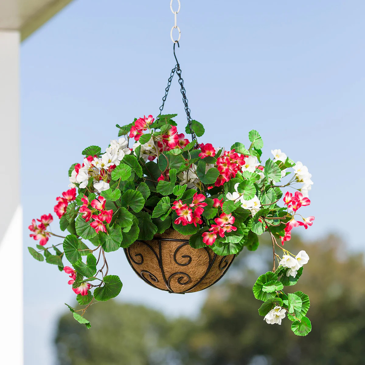 Everlasting Faux Red & White Geranium Hanging Basket | Plow & Hearth | Plow & Hearth