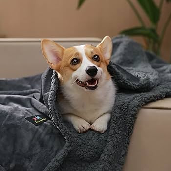 Visit the Luciphia Store | Amazon (US)