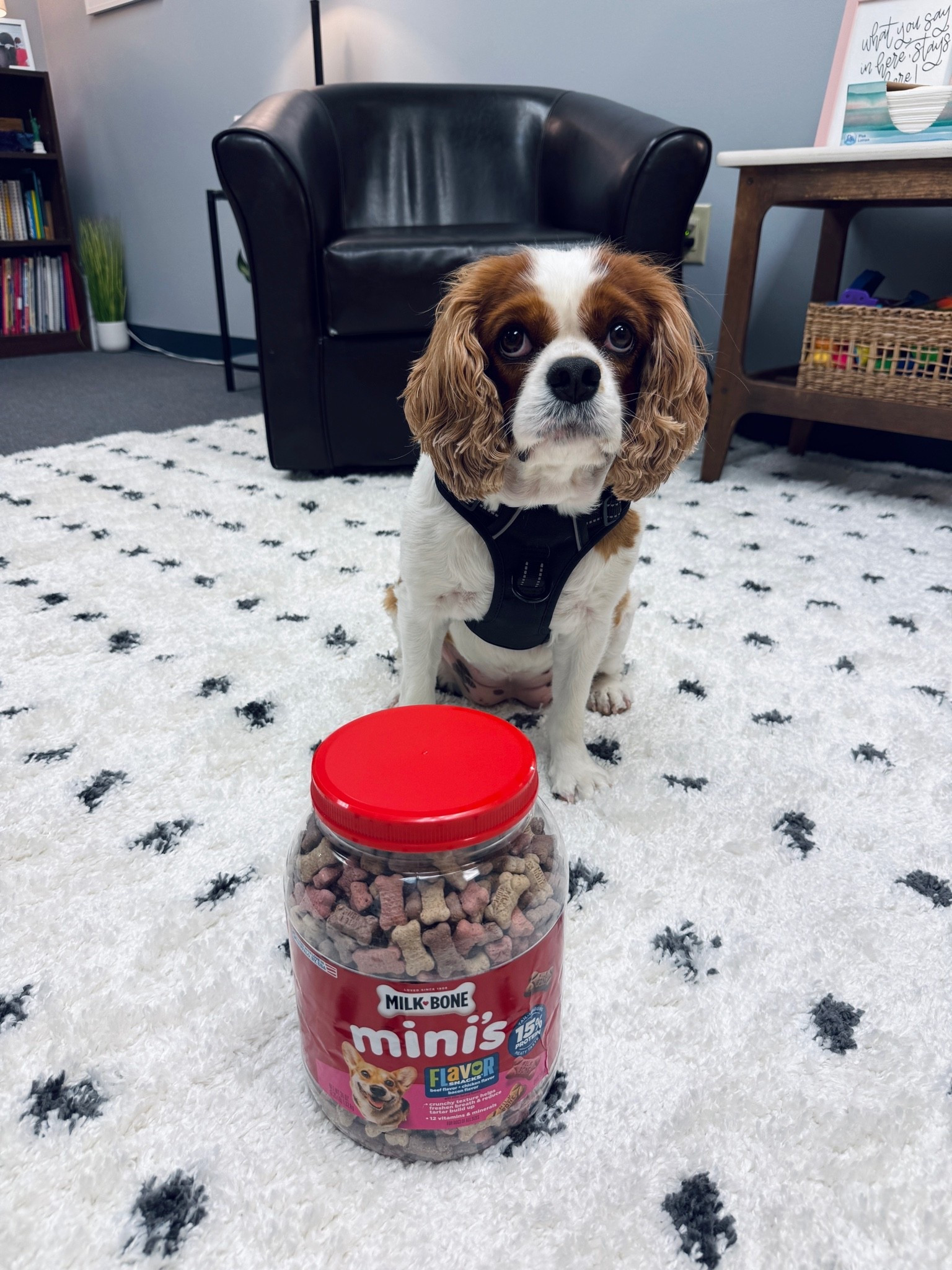 Piper would like you all to see her Friday fav for the week! Special delivery at school. 

 