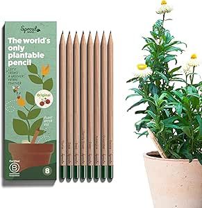 Sprout Wood-Cased Pencils | Original Edition | HB Pre-Sharpened Graphite Plantable Wooden Pencils... | Amazon (US)
