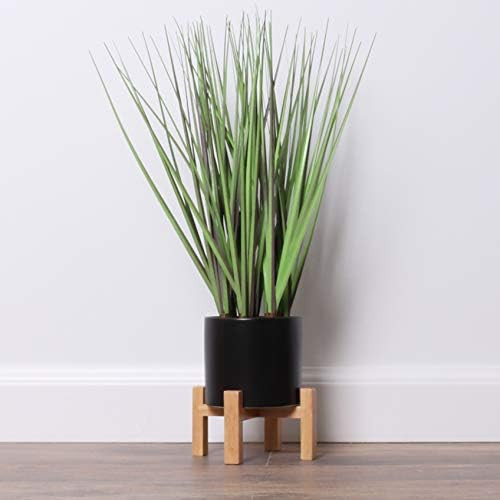 Amazon.com: Bornbridge Artificial Grass Plant with Mid Century Plant Stand - Sansevieria Plant in... | Amazon (US)