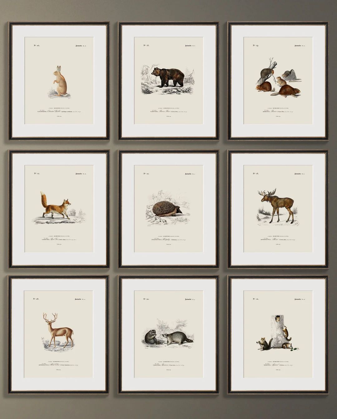 Vintage Animal Art Print Forest Animal Prints Woodland - Etsy | Etsy (US)