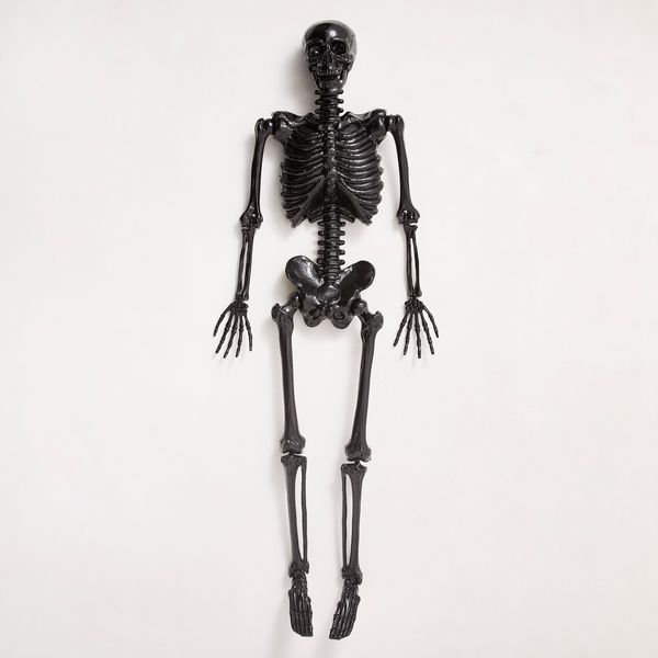 Skeleton | Zgallerie | Z Gallerie