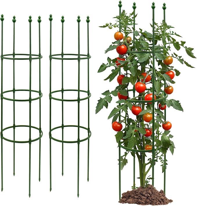 G-LEAF Adjustable Detachable Tomato Cage 3 Pack Tomatoes Plant Support Cages Trellis Garden Stick... | Amazon (US)