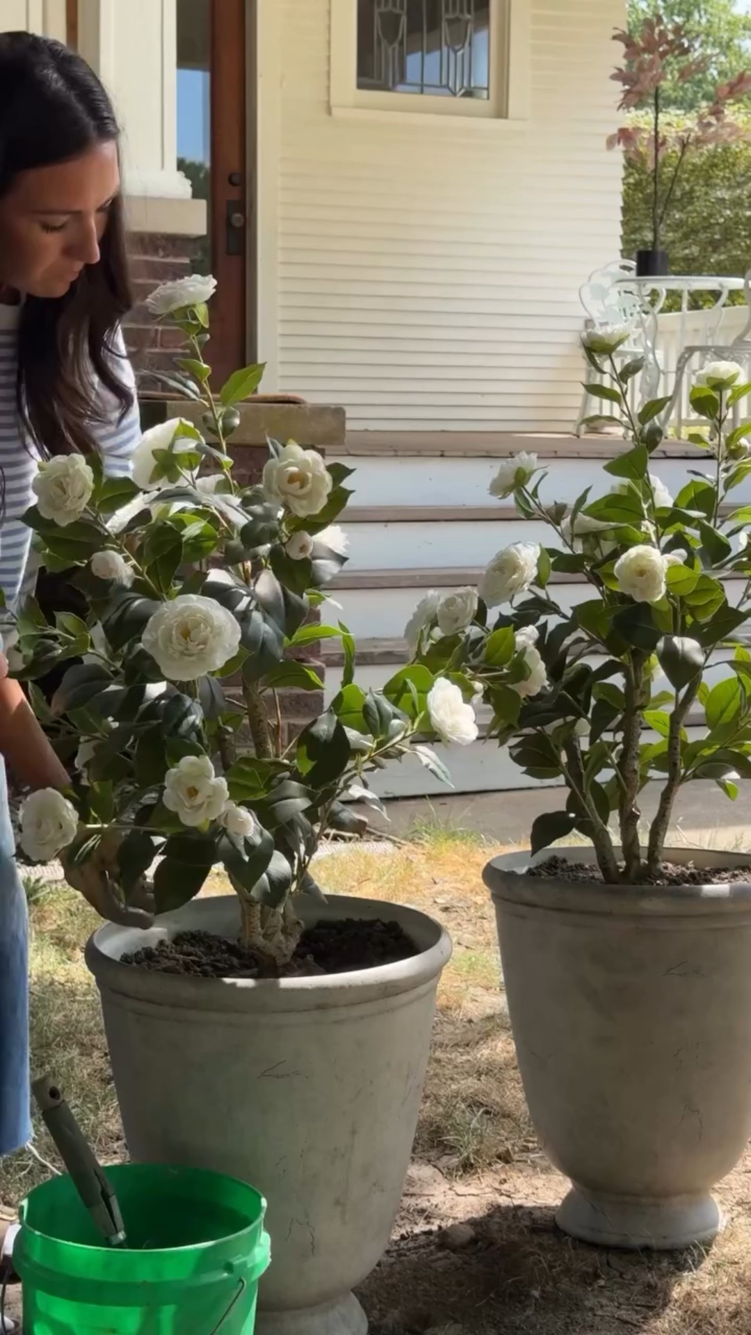 🍂 Ready to make your porch feel like fall—without starting from scratch?

A few simple swaps made all the difference for me this season: new faux trees in the planters, a basket of hydrangeas refreshed with fall sprigs, a timeless wreath, and faux pumpkins (beautiful and squirrel-proof 🙌).

Easy, welcoming, and reusable year after year. ✨

Comment FALL and I’ll send the links straight to your DMs! 🧡

Follow @kindredhomestead for more Home Design | Antique Finds \ Real Life \ LTK \ Amazon & more…

#kindredhomestead #khathome #khinteriors #kindredinteriors #khinteriordesign

-

fall porch decor | autumn entryway ideas | seasonal decorating tips | simple fall swaps | cozy curb appeal | faux pumpkins | fall wreath ideas | front porch styling | autumn home inspiration | easy seasonal transitions | timeless porch decor | welcoming entryway | fall decorating ideas | porch refresh for fall | hydrangea arrangement fall | outdoor seasonal styling

https://liketk.it/5nRno