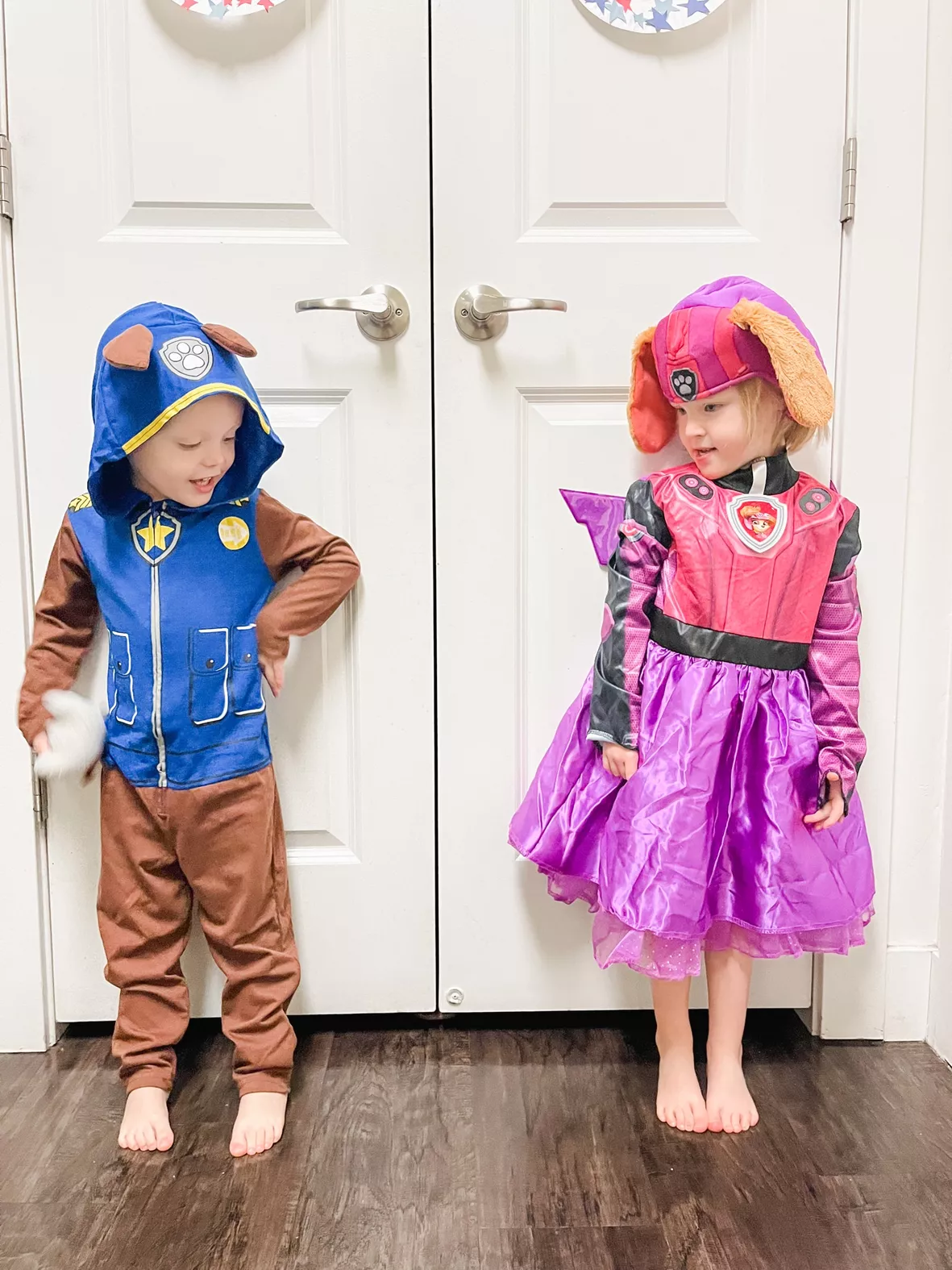  Paw Patrol Costumes