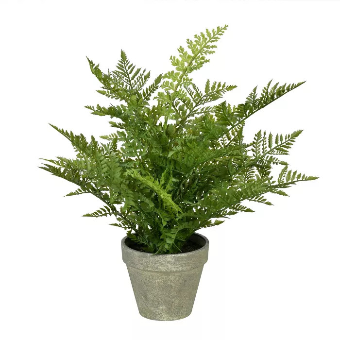 Vickerman 19" Green Potted Fern. | Target