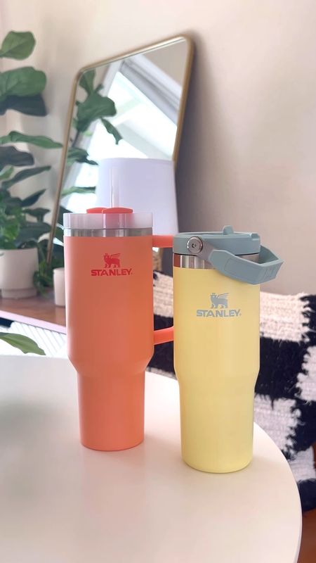 I am a @stanley girlie ✨💧 The 40oz Quencher H2.O Flowstate Tumbler and the 30oz IceFlow Flip Straw Tumbler are my favorites! I use the Quencher for around the house, in the car and when I was in the classroom. The IceFlow is great for travel, a day at the beach/pool/lake or when out and about!

#stanleypartner



#LTKhome #LTKSeasonal #LTKstyletip