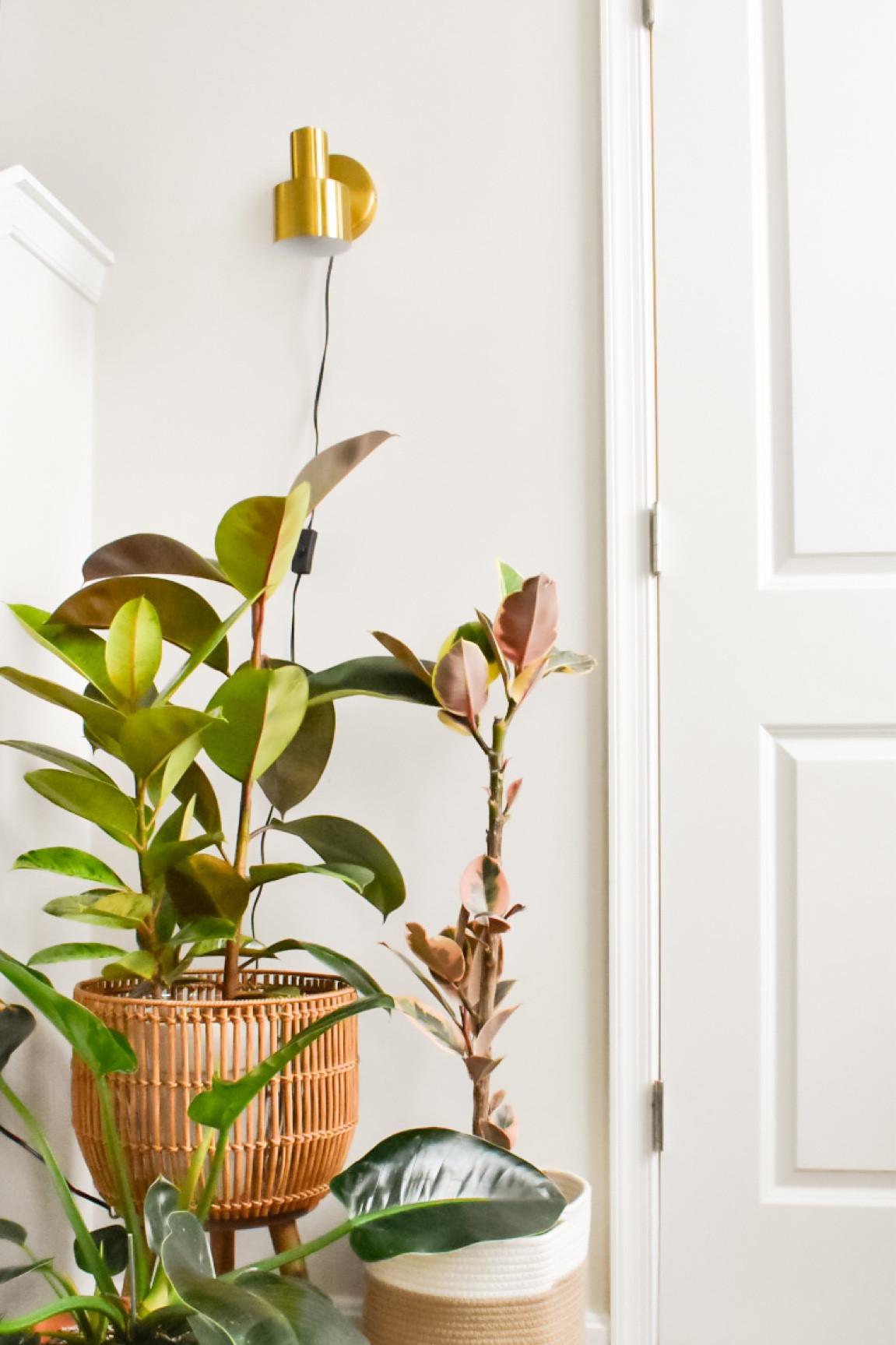 Aesthetic and affordable plants stands and grow lights 🪴

#LTKhome #LTKfindsunder50 #LTKfindsunder100