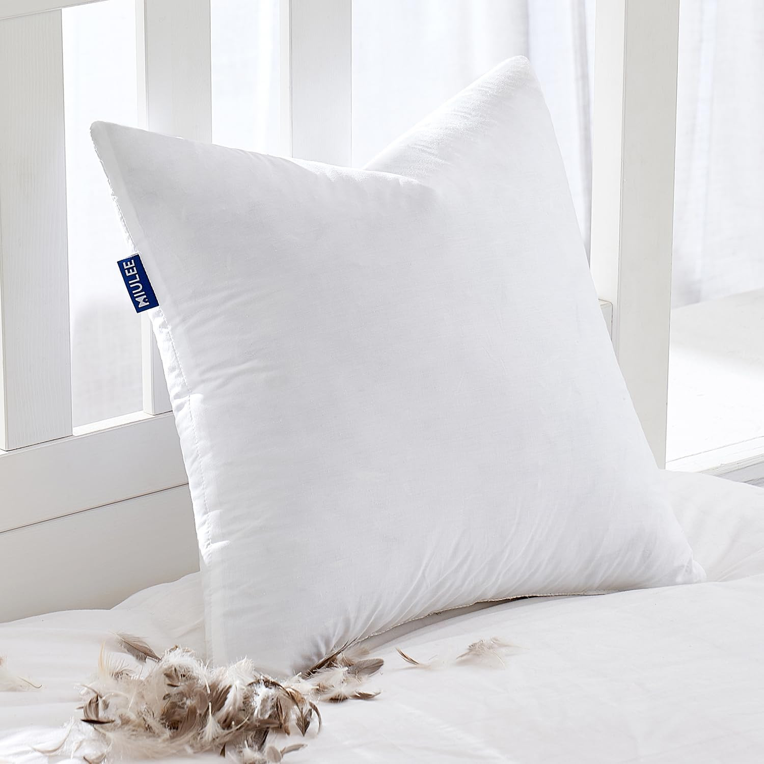 MIULEE Feather Euro Pillow Insert 24x24, Throw Pillow with Cotton Cover | Amazon (US)