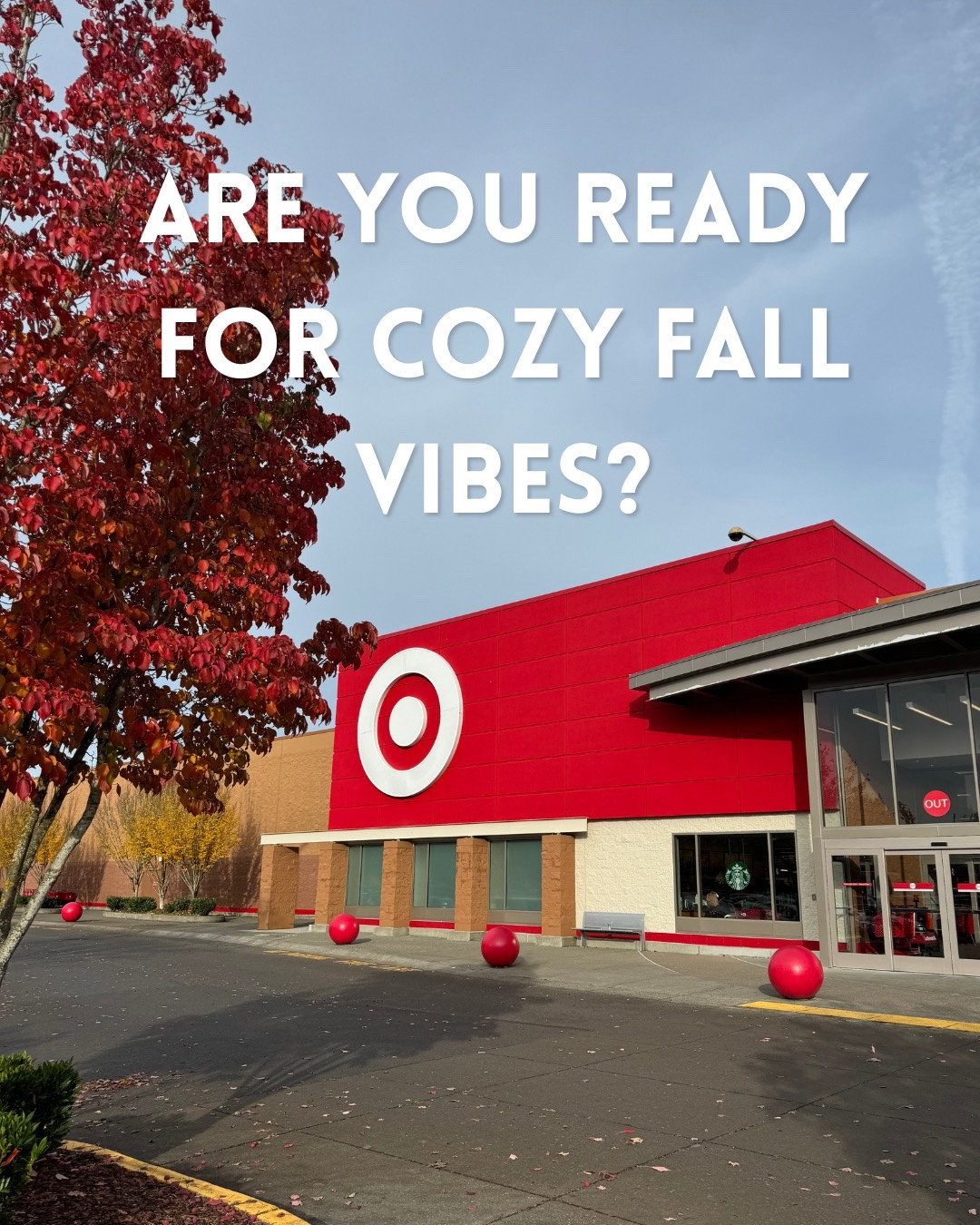 All things cozy and fall at Target right now.